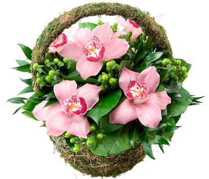 Корзинка с розовой орхидеей