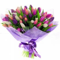 Букет из разноцветных тюльпанов (51шт.)