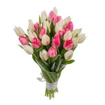 Букет из белых и розовых тюльпанов (29 шт.)