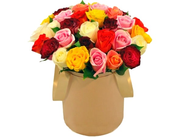 Разноцветные розы в шляпной коробке (35шт)